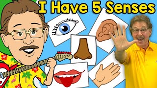 I Have Five Senses Jack Hartmann Senses Song [upl. by Alliw]