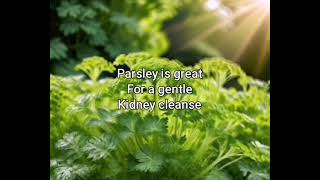 The benefits of Parsley and the kidneys [upl. by Yesrod]