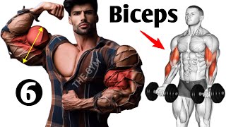 6 Effective Biceps Exercises for Wider Biceps [upl. by Forras704]