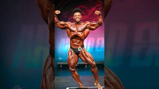 Breon Ansley HD posing footage 2024 Arnold Classic [upl. by Mignonne]