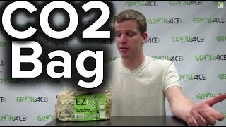 GrowAcecom  How to use EZ CO2 Bags for Indoor Grow Rooms or Grow Tents [upl. by Tillford]