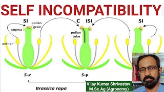 SELF INCOMPATIBILITY [upl. by Airt]