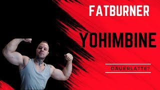 Yohimbine Fatburner und Dauerlatte [upl. by Lleinad711]