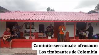 caminito serrano de afrosaumLos Timbrantes De Colombia [upl. by Jariah418]