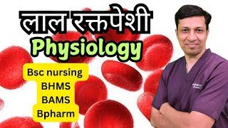 Physiology of Red blood cell  लाल रक्तपेशी मराठीमध्ये [upl. by Blasien]