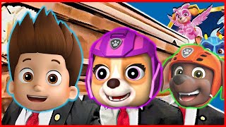 PAW Patrol amp Friends  Coffin Dance Song COVER [upl. by Anilehs]