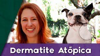 Seu cão tem alergias  Dermatite Atópica  Dermatologia Veterinária [upl. by Ardnaik]