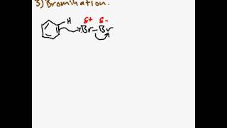 Bromination Mechanism [upl. by Einwat851]