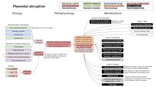 Placental abruption mechanism of disease [upl. by Carlene]