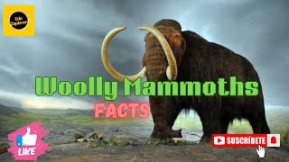 Discovering the Secrets of the Woolly Mammoth 🧐🦣 mammoth elephant animalfacts [upl. by Winn]