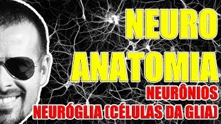 Neurônios e Células da Glia  Sistema Nervoso  Neuroanatomia  VideoAula 082 [upl. by Minsk]