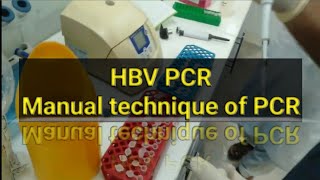 HBV PCR test PCR test Manually [upl. by Resor]