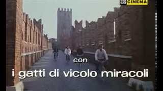 VERONA BEAT  I Gatti di Vicolo Miracoli 1979 [upl. by Domeniga]