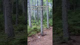 The best place to camp in New Brunswick unbelievable amazing hiking exploreoutside travel [upl. by Gwenni]