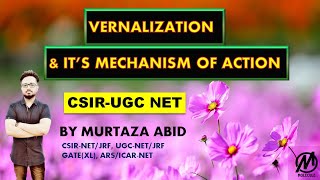 VERNALIZATION AND ITS MECHANISM OF ACTION  CSIRNET ICMR DBT ICARNET GATE MSc [upl. by Veneaux]