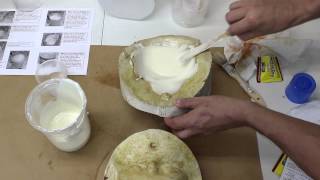 Michael Davy Foaming Gelatin How To [upl. by Arries]