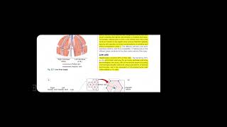 Davidson Medicine Final Prof Genetics  Immunology and Oncology part1 [upl. by Assirem268]