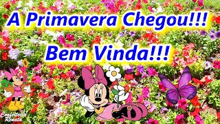 Linda Mensagem de Bom Dia Primavera Chegou 💐 [upl. by Valorie]