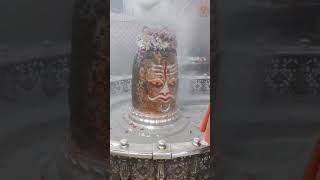 ॐ Mahakal Bhasma Aarti ⛳⛳ Jai Shree Mahakal mahakal shorts [upl. by Demetri715]