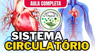 SISTEMA CIRCULATÓRIO  AULA COMPLETA  SISTEMA CARDIOVASCULAR [upl. by Vittoria]