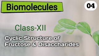 Biomolecules L04Class 12thCyclic structure of Fructose amp DisaccharidesSpartan SirChemistry [upl. by Relyuhcs]