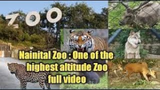 Nainital Zoo  Zoo in Nainital  Nainital Zoo Tour  Nainital Tourist Places  Nainital Zoo Video [upl. by Anyala]