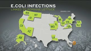 CDC Expands E coli Warning To All Romaine Lettuce [upl. by Ari]