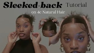 This is How I do my CLEAN GIRL Hairstyle on 4c Hair  ft HairSheRocks [upl. by Nnayar168]