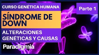 Que es el Sindrome de Down  Cariotipos del Síndrome Down ✅ Curso de Genética 001 [upl. by Anilorak]