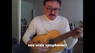 Zaho de Sagazan  La symphonie des éclairs cover [upl. by Halsy]