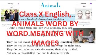 Class X English  Animals WordbyWord Meaning in Bengali with images amp Sentence Making  Bengali [upl. by Nagyam]