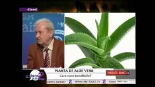 Ce beneficii miraculoase contine Gelul de baut Aloe Vera [upl. by Carolann357]