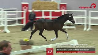 28 Hengst v Floriscount  Diamond Hit  Rubinstein I [upl. by Cosme878]