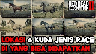 RDR2  TIPS RDR2  LOKASI 6 KUDA JENIS RACE YG BISA DIDAPATKAN DI DUNIA RDR2 [upl. by Eatnuahs]