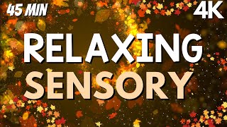 Autism Calming Music Fall Sensory Visuals to relax and unwind [upl. by Aruam]