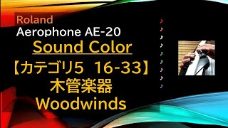 Aerophone AE20音色【カテゴリ5 1633 木管楽器】 [upl. by Akierdna]