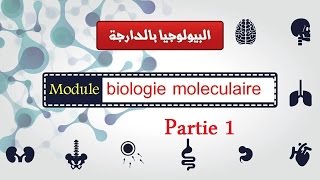 Biologie moléculaire partie 1 ADN et ARN et ribosomes quoteucaryote et procaryotequot البيولوجيا بالدارجة [upl. by Eisak59]