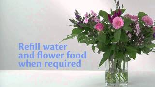 How to Use Chrysal Flower Food Packets  Extend the Life of Your Blooms [upl. by Nyasuh]