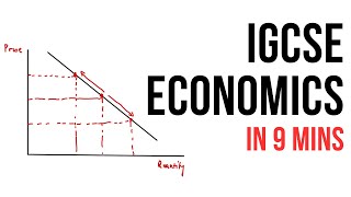 All of IGCSE Economics in 9 minutes summary [upl. by Rraval]