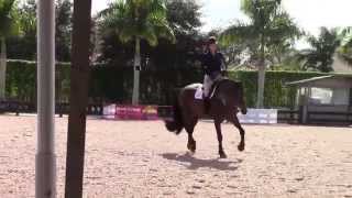 Beezie Madden Schooling Changes and Nailing the Tempis [upl. by Ayrad]