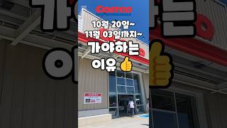 코스트코 10월 20일11월 03일까지 가야하는 이유 costco 코스트코 코스트코추천템 코스트코할인 코스트코에서꼭사야할것 [upl. by Nitsyrc224]