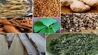 Best Herbs for Energy Using Natural Herbal Stimulants [upl. by Aisatsanna]