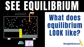 How to Visualize Equilibrium  Using the PhET on Reversible Reactions [upl. by Mulvihill]