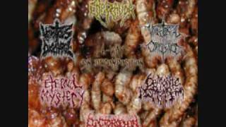 Vomitorial Corpulence  Spiritual Savagery [upl. by Siryt]