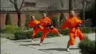 Shaolin Monks Training [upl. by Ardeahp]