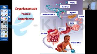 DUS Biyokimya  Biyokimyaya Giriş Organizma Atom Molekül Hücre  nettekurscom [upl. by Nyladnewg]