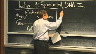 Overview of Recombinant DNA excerpt 1  MIT 701SC Fundamentals of Biology [upl. by Nitas]