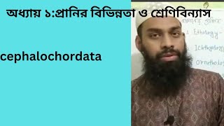 ১৬।Cephalochordata । সেফালোকর্ডাটা [upl. by Aimak]