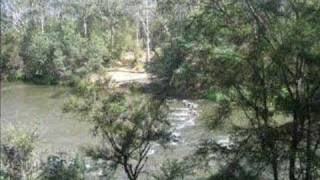 Blue Tongue Bend  Warrandyte State Park [upl. by Nedroj]