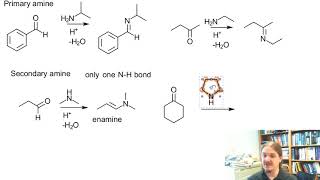 Scope of the reactions of aldehydes and ketones with amines [upl. by Nai]